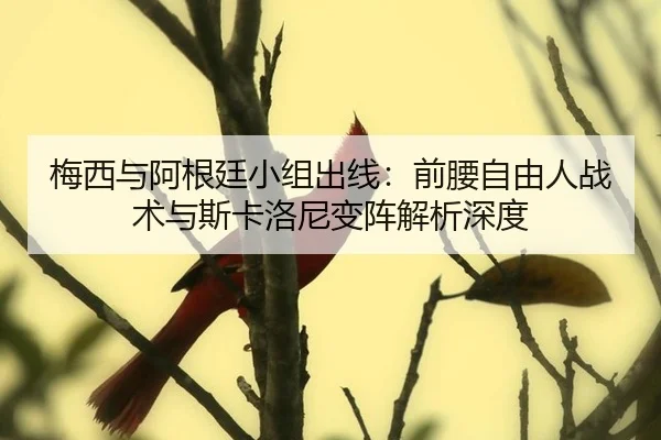 梅西与阿根廷小组出线：前腰自由人战术与斯卡洛尼变阵解析深度