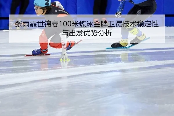 zhang-yu-fei-shi-jin-sai-mi-die-yong-jin-pai-wei-mian-ji-shu-wen-ding-xing-yu-chu-fa-you-shi-fen-xi-3-139.jpg