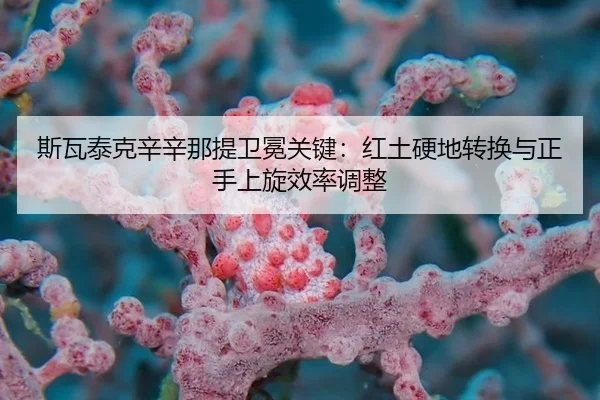 斯瓦泰克辛辛那提卫冕关键：红土硬地转换与正手上旋效率调整